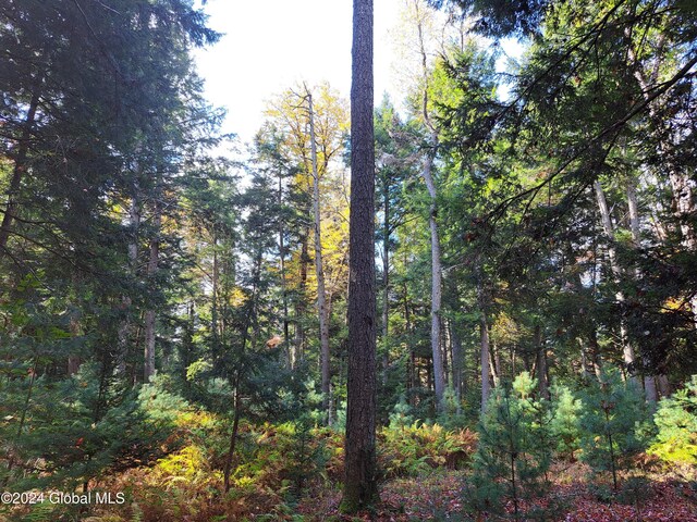L9 Atateka Rd, Chester, NY 12817 - photo 61