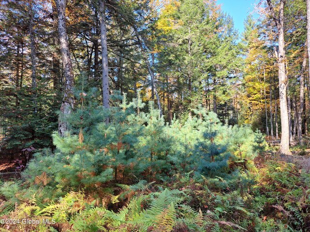 L9 Atateka Rd, Chester, NY 12817 - photo 62