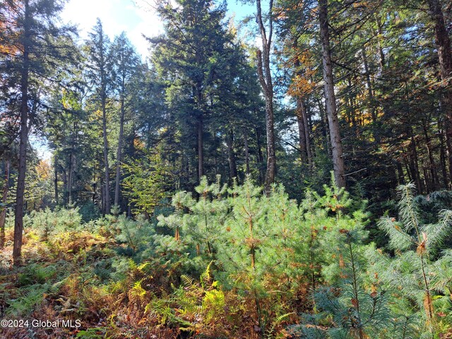 L9 Atateka Rd, Chester, NY 12817 - photo 63