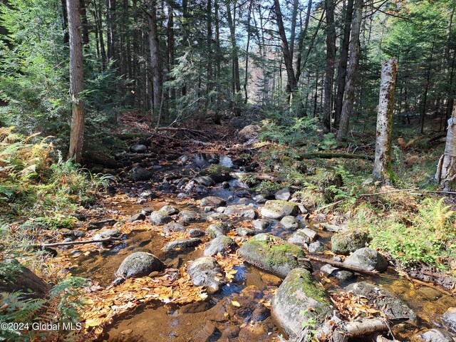 L9 Atateka Rd, Chester, NY 12817 - photo 65