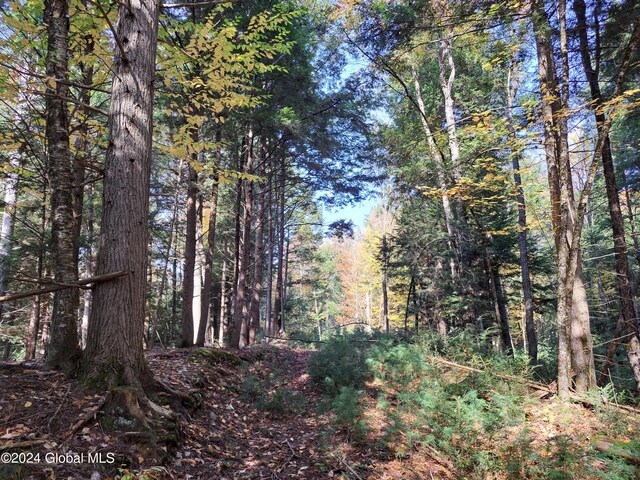 L9 Atateka Rd, Chester, NY 12817 - photo 66