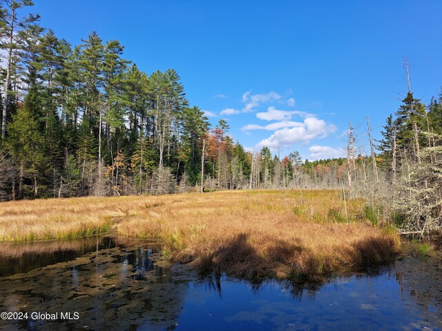 L9 Atateka Rd, Chester, NY 12817 - photo 67