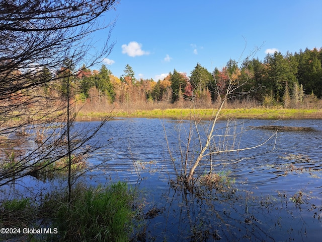 L9 Atateka Rd, Chester, NY 12817 - photo 70