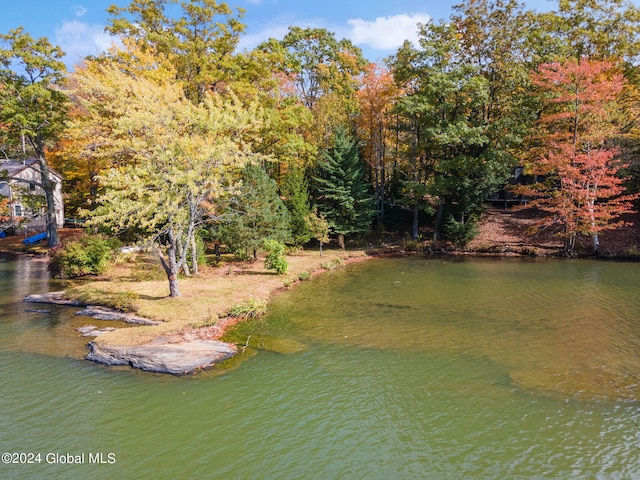 property view of water