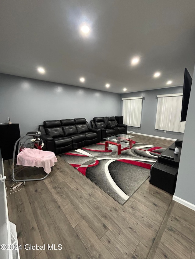 living room with wood-type flooring