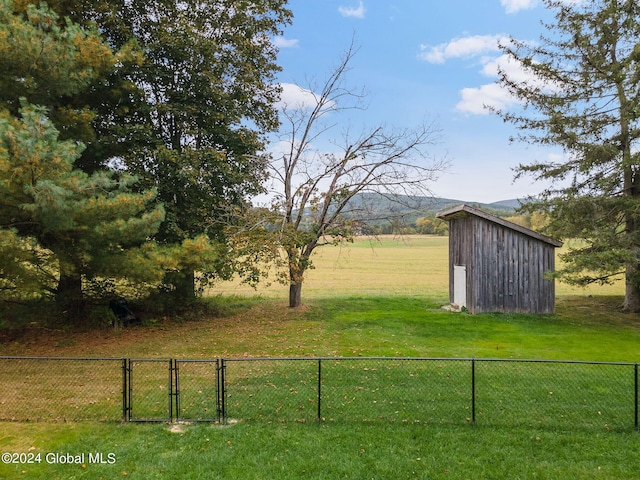 view of yard with a shed