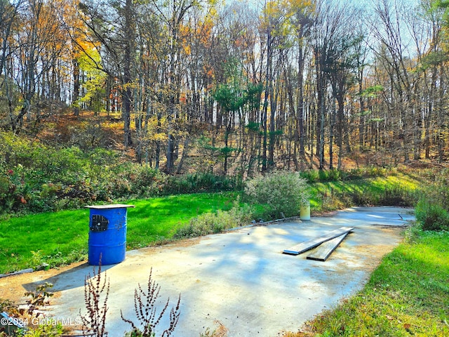 view of community featuring a lawn