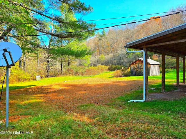 view of yard with a storage shed