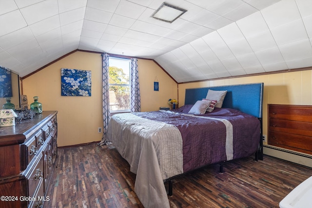 bedroom featuring dark wood-type flooring, vaulted ceiling, and baseboard heating