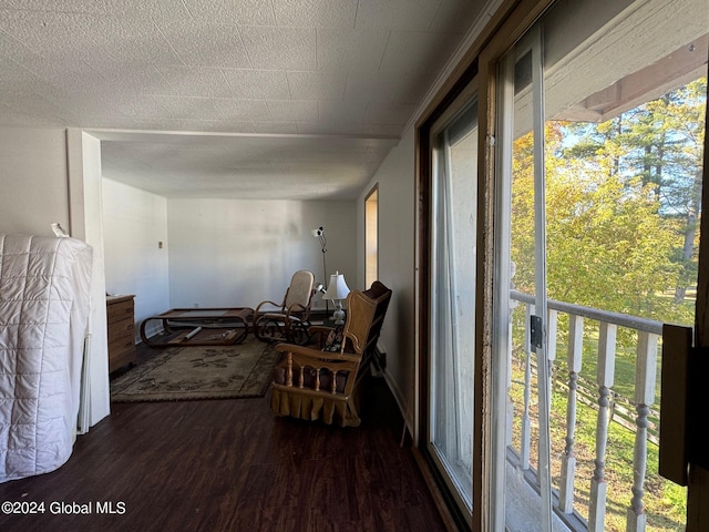 interior space featuring a healthy amount of sunlight