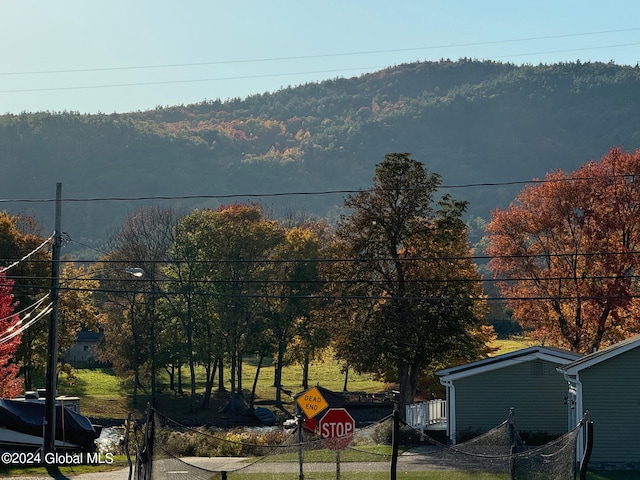 view of mountain feature