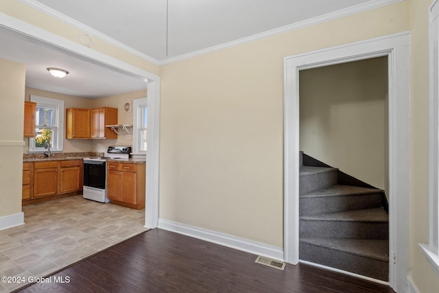 kitchen with sink, crown molding, light hardwood / wood-style floors, and electric stove