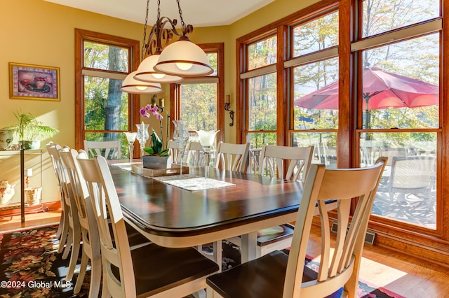 dining room with a wealth of natural light and hardwood / wood-style floors