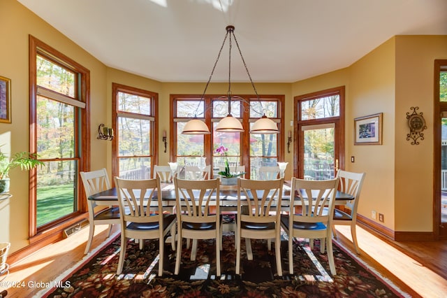 dining space featuring a wealth of natural light and hardwood / wood-style flooring