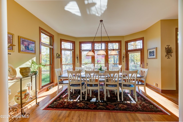 dining room with light hardwood / wood-style floors and plenty of natural light