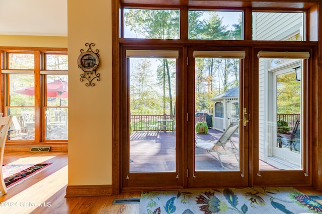 entryway with light hardwood / wood-style flooring and a wealth of natural light