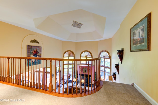 hall featuring carpet and a raised ceiling