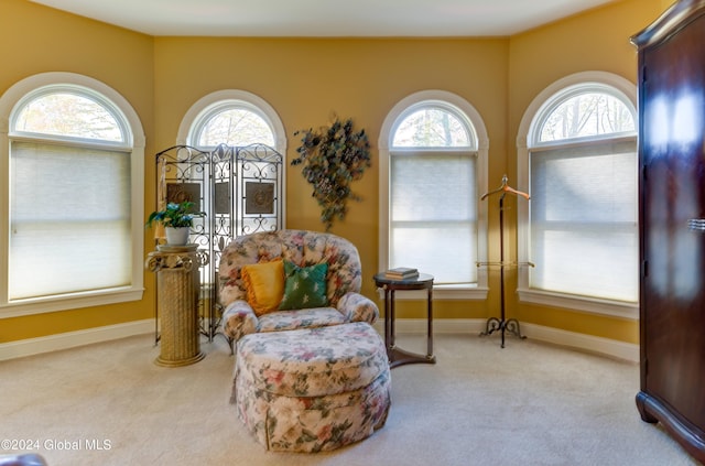 living area with light colored carpet and plenty of natural light