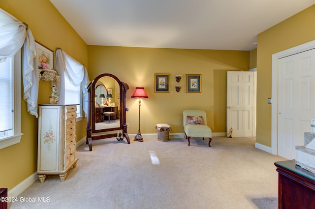 sitting room featuring a wealth of natural light and light carpet