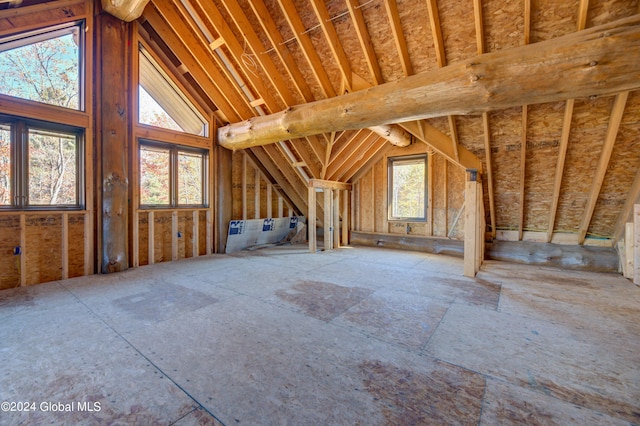 attic with a healthy amount of sunlight