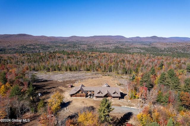 bird's eye view with a mountain view