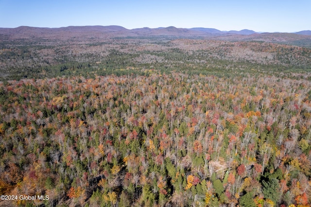 view of mountain feature