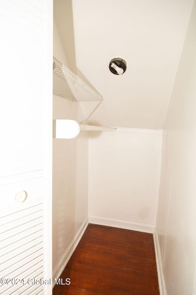 walk in closet with dark wood-type flooring