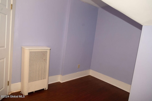 additional living space featuring dark hardwood / wood-style flooring