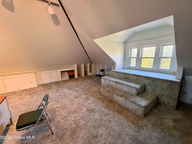 additional living space featuring carpet flooring and vaulted ceiling