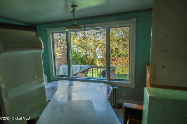 dining room featuring radiator and a healthy amount of sunlight