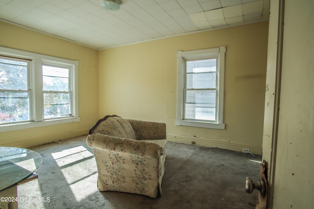 sitting room featuring light carpet, ornamental molding, and a wealth of natural light