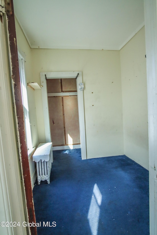 view of unfurnished bedroom