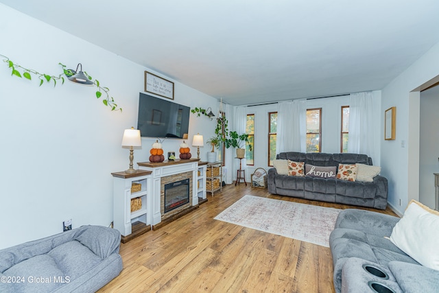 living room featuring light hardwood / wood-style floors