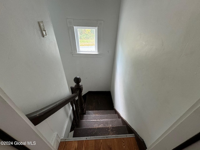 stairway with hardwood / wood-style floors