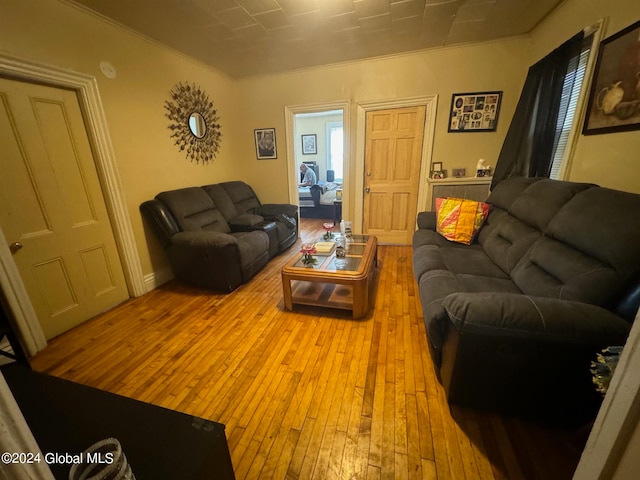 living room featuring ornamental molding and light wood-type flooring