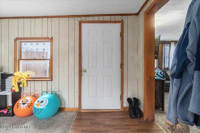 interior space featuring wooden walls and dark hardwood / wood-style floors