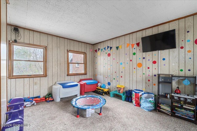 recreation room with carpet floors and wooden walls