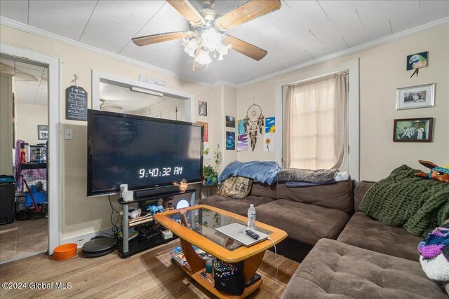 living room featuring ceiling fan, hardwood / wood-style floors, and ornamental molding