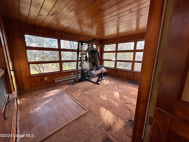 workout room featuring wood ceiling, a healthy amount of sunlight, carpet flooring, and wood walls