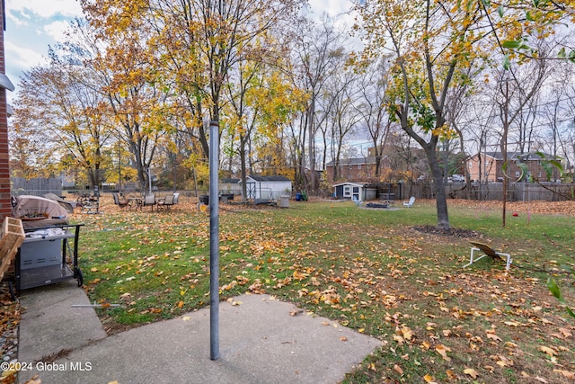 view of yard with a storage shed