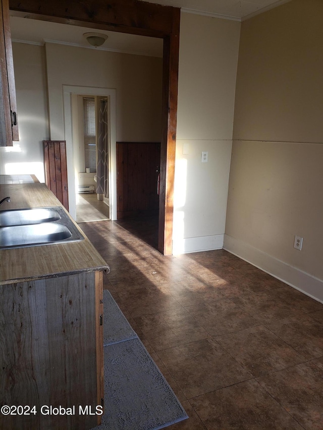 interior space featuring ornamental molding and sink