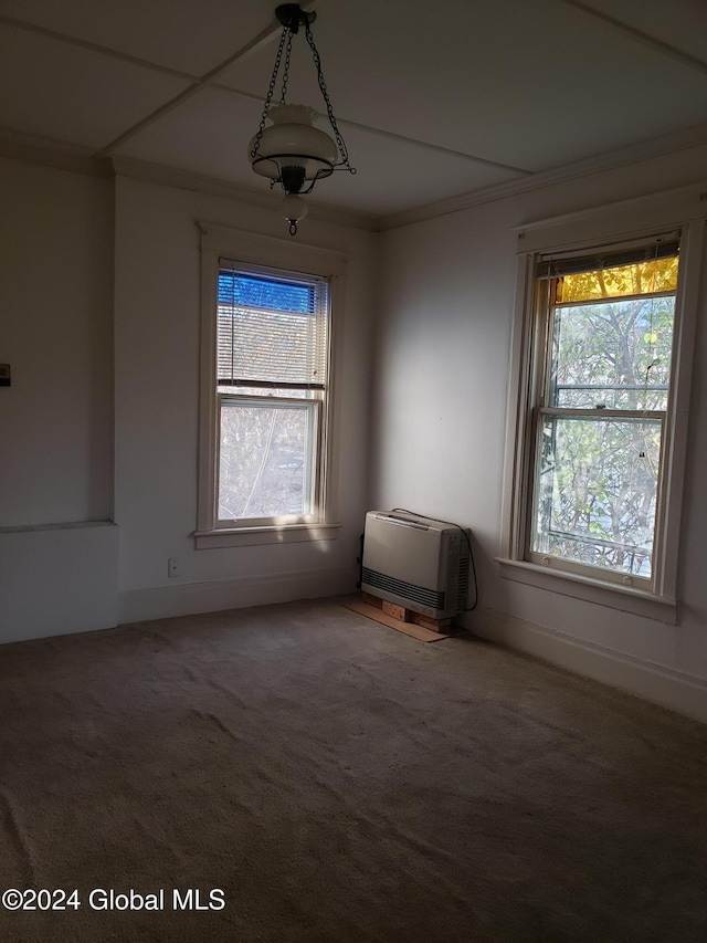 carpeted empty room with ornamental molding and heating unit