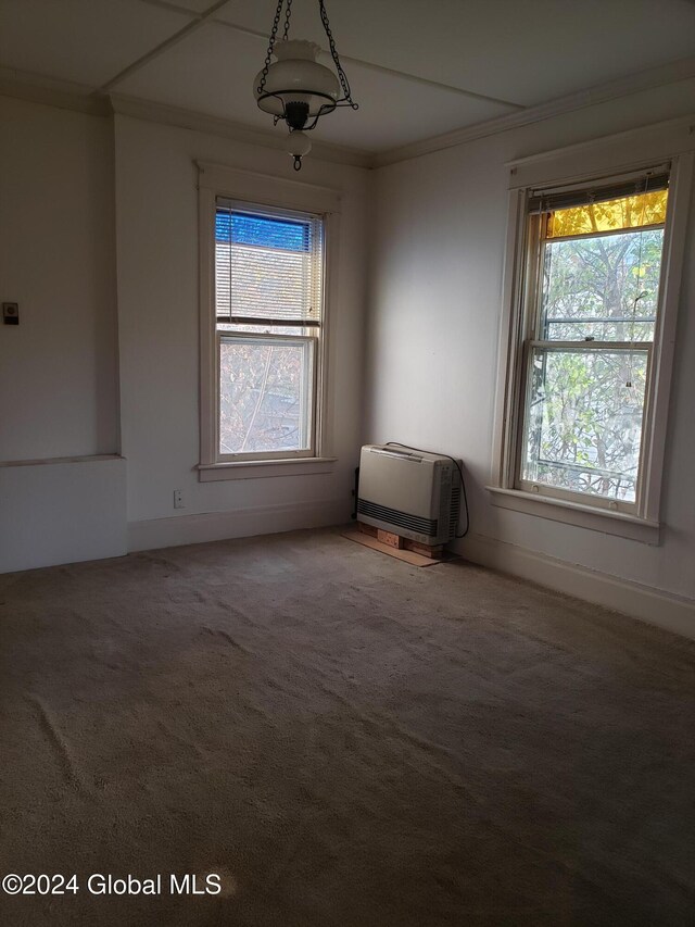 unfurnished room with ornamental molding, heating unit, and carpet