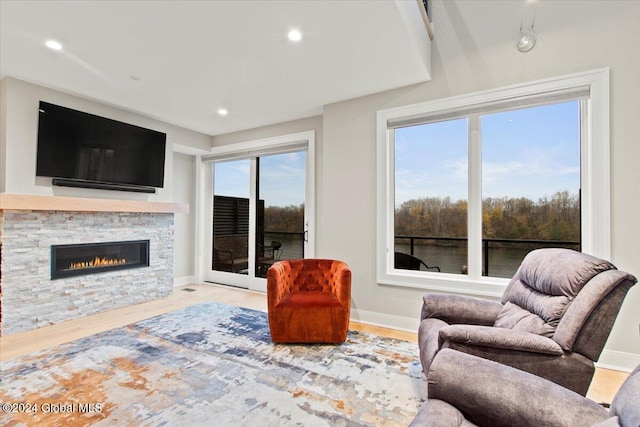 living room featuring a fireplace and light hardwood / wood-style flooring