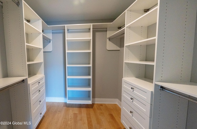 spacious closet featuring light wood-type flooring