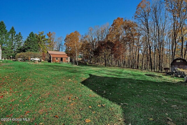 view of yard with an outbuilding