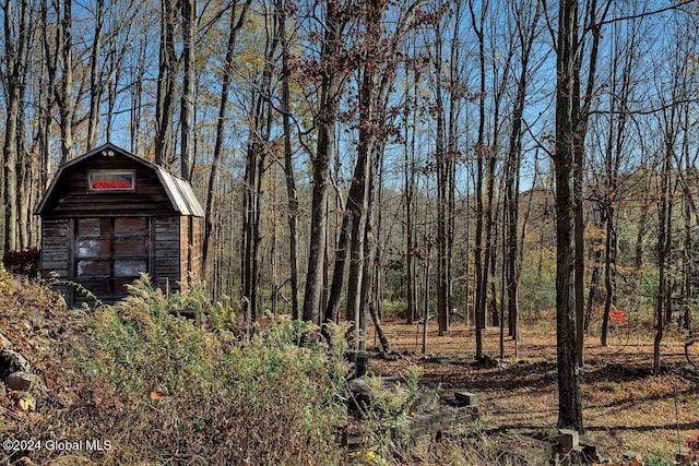 view of yard with a storage shed