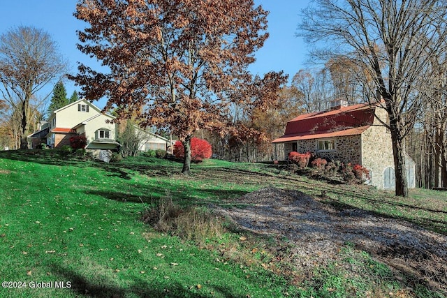 view of yard