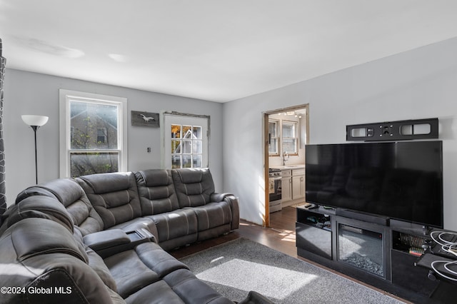 living room with sink and dark wood-type flooring