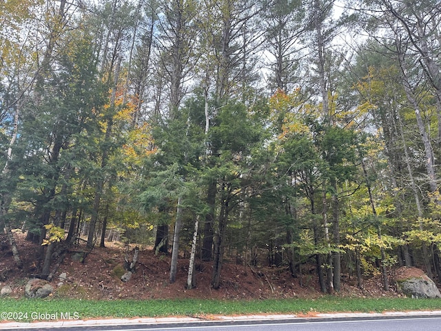 L28 Olmstedville Rd, Chester NY, 12853 land for sale